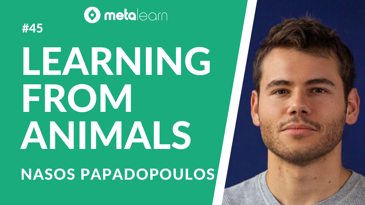 ML45: How To Learn from Animals