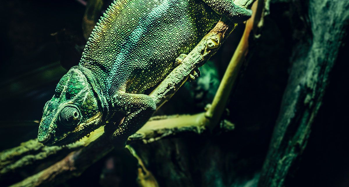 Environmental Encoding: How Your Surroundings Affect Learning and What to Do About It